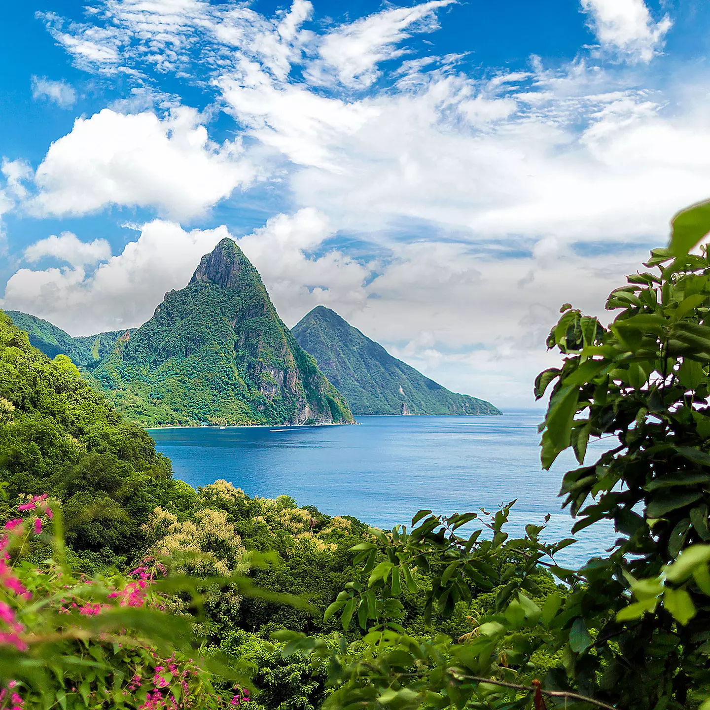 Royal Caribbean Newsletter 2024 The GoodyBag